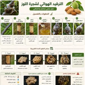 ما او ه لم